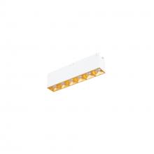 WAC US R1GDL06-F935-GL - Multi Stealth Downlight Trimless 6 Cell