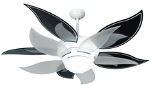 Craftmade K10612 - 52" Bloom Ceiling Fan Kit