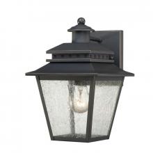 Quoizel CAN8407WB - Carson Outdoor Lantern