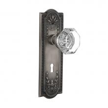 Nostalgic Warehouse 704399 - Nostalgic Warehouse Meadows Plate with Keyhole Passage Waldorf Door Knob in Antique Pewter