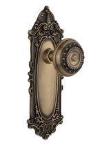 Nostalgic Warehouse 705058 - Nostalgic Warehouse Victorian Plate Passage Meadows Door Knob in Antique Brass