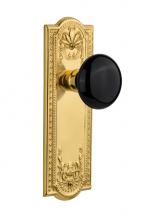 Nostalgic Warehouse 709000 - Nostalgic Warehouse Meadows Plate Passage Black Porcelain Door Knob in Unlacquered Brass