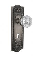 Nostalgic Warehouse 711127 - Nostalgic Warehouse Meadows Plate with Keyhole Passage Crystal Glass Door Knob in Antique Pewter