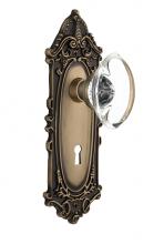 Nostalgic Warehouse 711697 - Nostalgic Warehouse Victorian Plate with Keyhole Privacy Oval Clear Crystal Glass Door Knob in Ant