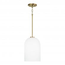 Capital 348811AD - 1-Light Pendant