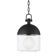 Troy F4510-TBK - Zephyr Pendant