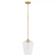 Quorum 3313-80 - Raymond 1 Light Pendant, Aged Brass